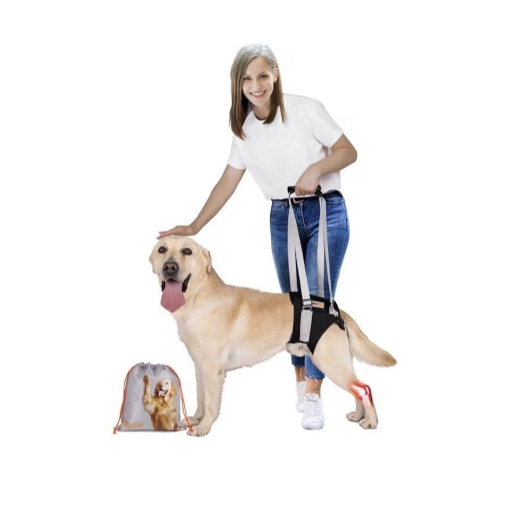 Dog Lift Harness for Medium Dogs, Dog Sling For Back Legs, with Handle New